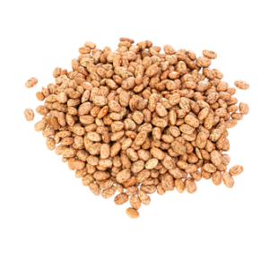 Pinto Beans